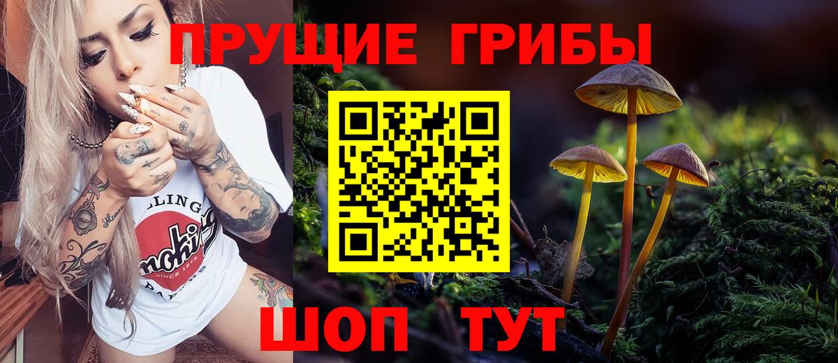 Псилоцибиновые грибы MAGIC MUSHROOMS Качканар